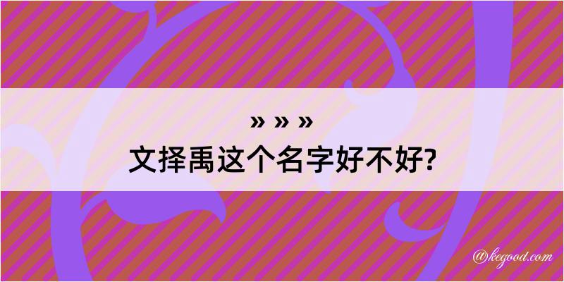 文择禹这个名字好不好?