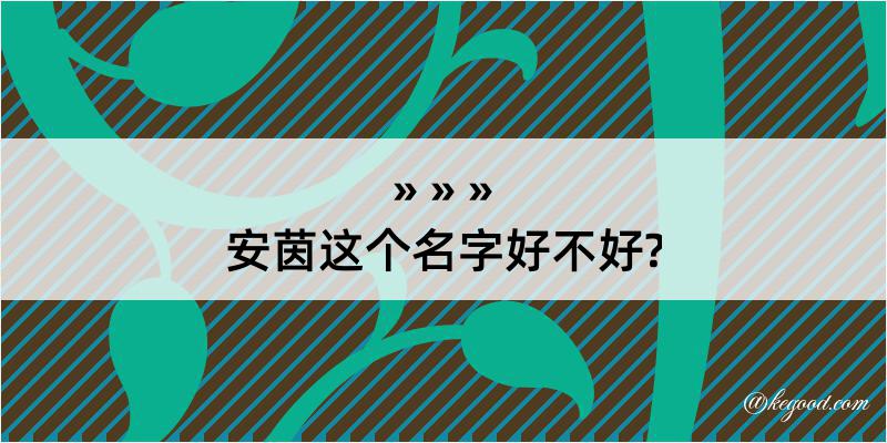 安茵这个名字好不好?