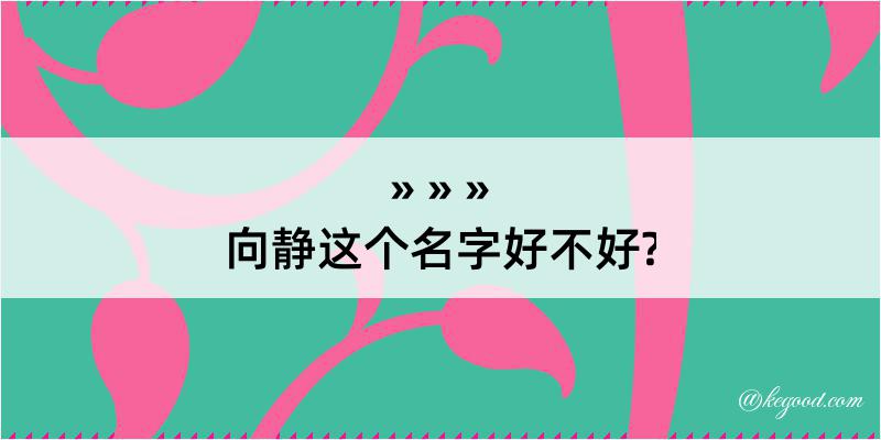 向静这个名字好不好?