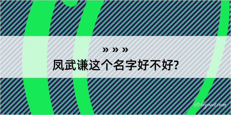 凤武谦这个名字好不好?