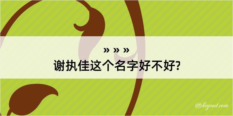 谢执佳这个名字好不好?