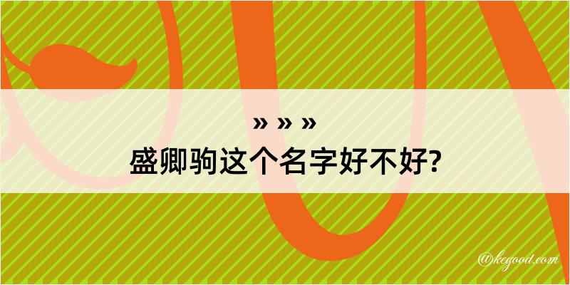 盛卿驹这个名字好不好?