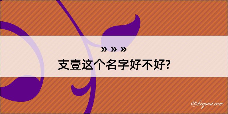 支壹这个名字好不好?