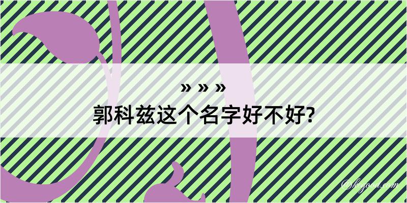 郭科兹这个名字好不好?