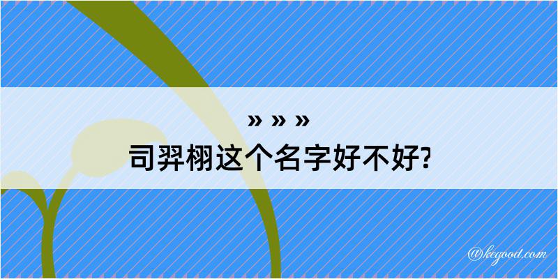 司羿栩这个名字好不好?