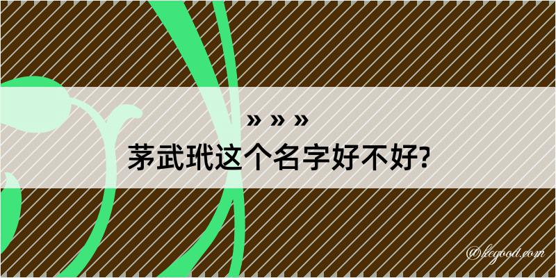 茅武玳这个名字好不好?