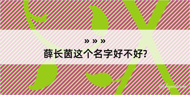 薛长茵这个名字好不好?