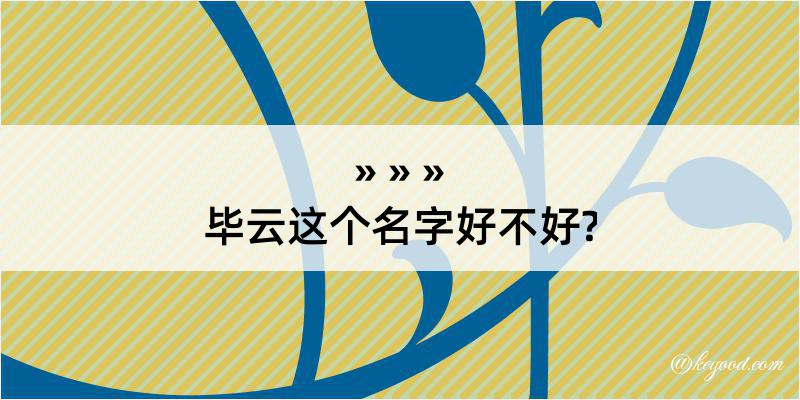 毕云这个名字好不好?