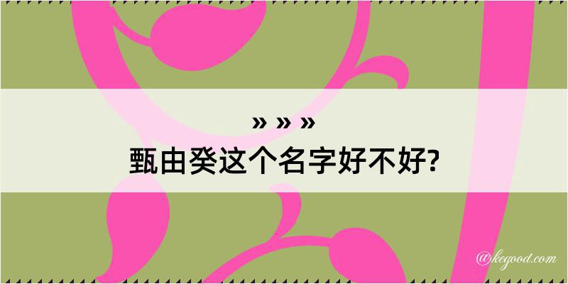 甄由癸这个名字好不好?