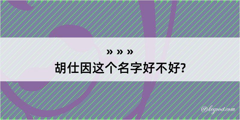 胡仕因这个名字好不好?