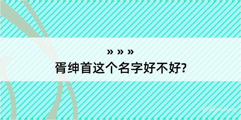 胥绅首这个名字好不好?