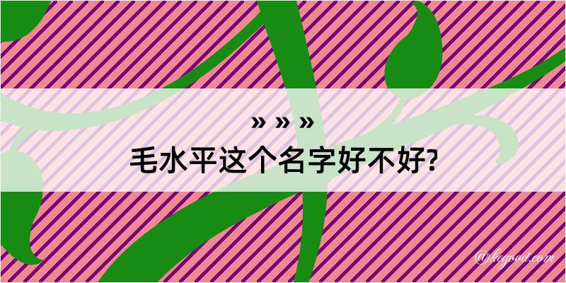 毛水平这个名字好不好?