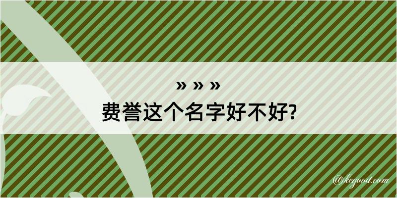 费誉这个名字好不好?