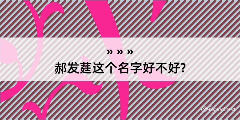 郝发莛这个名字好不好?