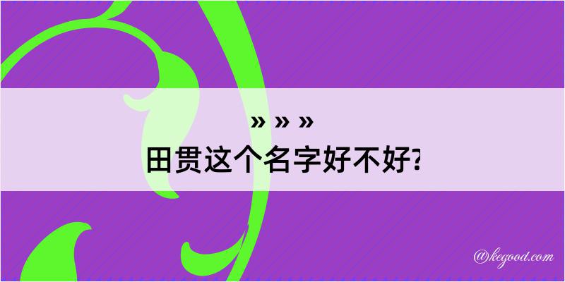 田贯这个名字好不好?