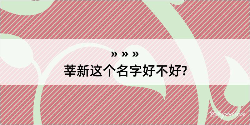 莘新这个名字好不好?