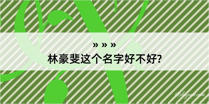 林豪斐这个名字好不好?