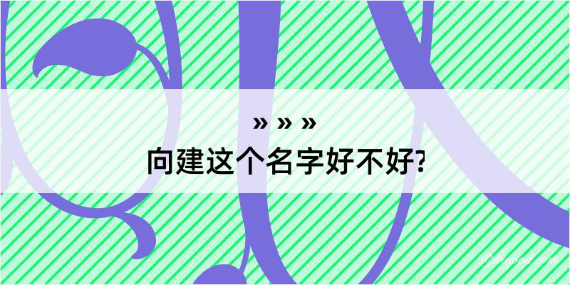 向建这个名字好不好?