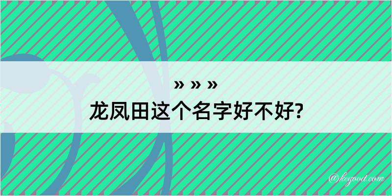 龙凤田这个名字好不好?