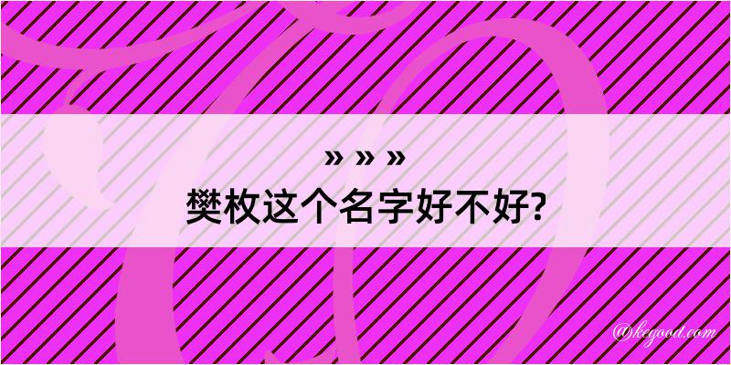 樊枚这个名字好不好?