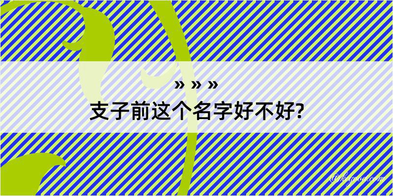 支子前这个名字好不好?