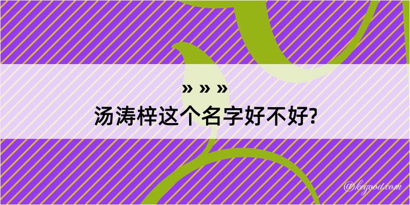 汤涛梓这个名字好不好?