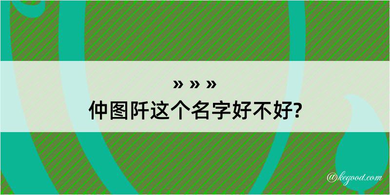 仲图阡这个名字好不好?