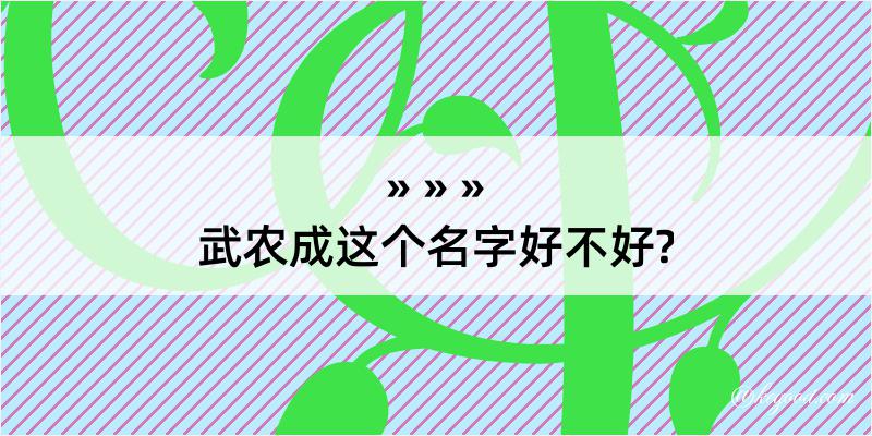 武农成这个名字好不好?