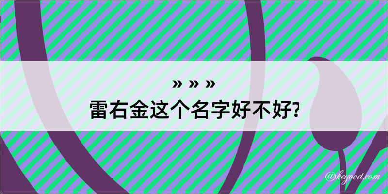 雷右金这个名字好不好?