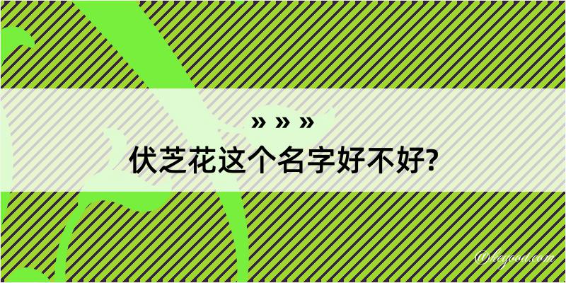 伏芝花这个名字好不好?