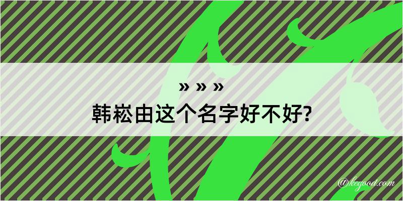 韩崧由这个名字好不好?