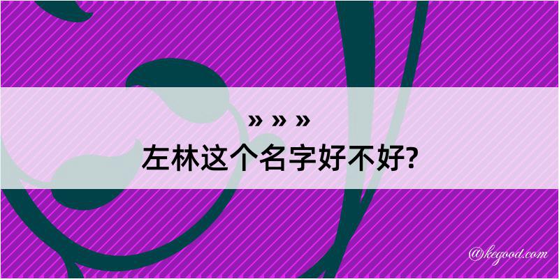 左林这个名字好不好?