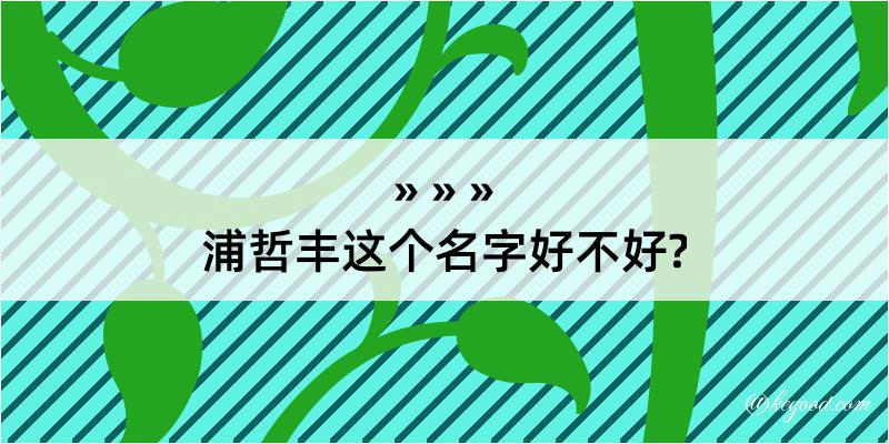 浦哲丰这个名字好不好?