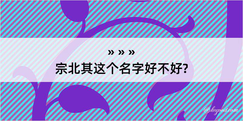 宗北其这个名字好不好?