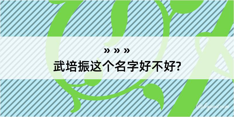 武培振这个名字好不好?