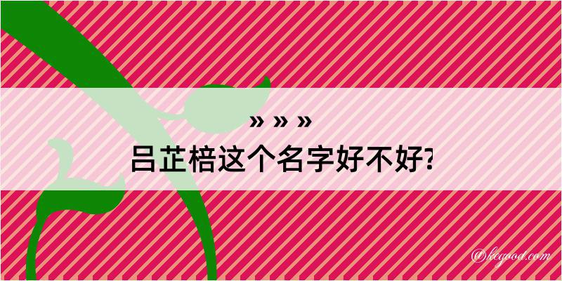 吕芷棓这个名字好不好?