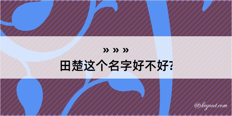 田楚这个名字好不好?