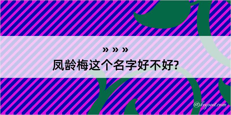 凤龄梅这个名字好不好?