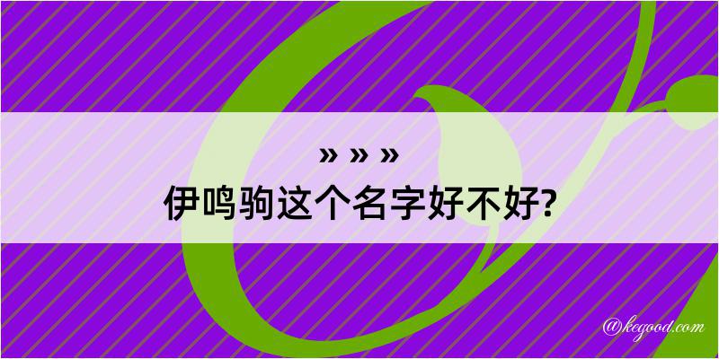 伊鸣驹这个名字好不好?