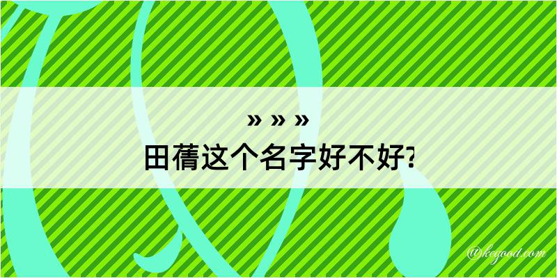 田蒨这个名字好不好?