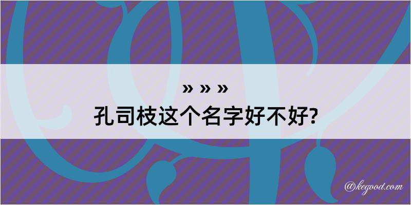 孔司枝这个名字好不好?