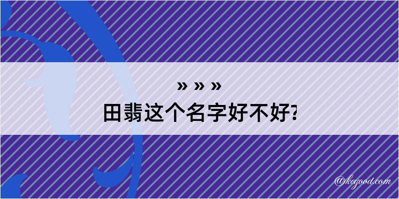 田翡这个名字好不好?