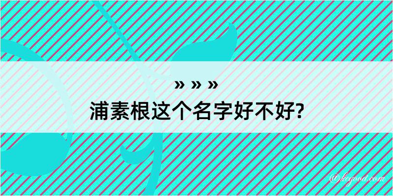 浦素根这个名字好不好?