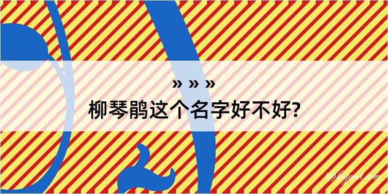 柳琴鹃这个名字好不好?