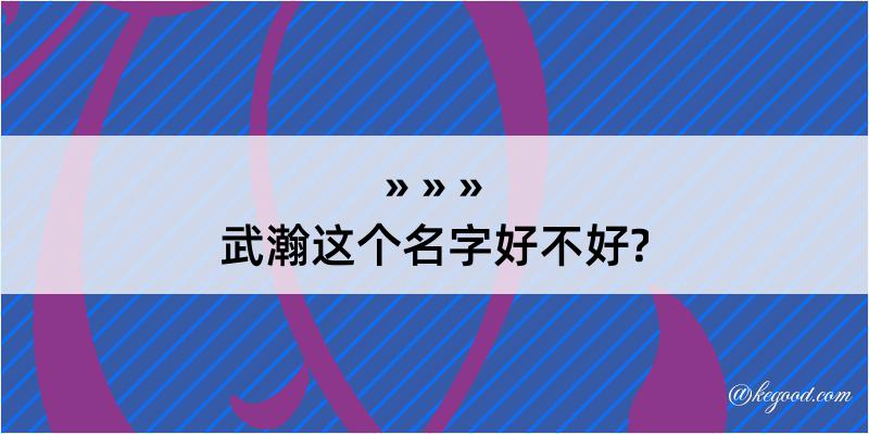 武瀚这个名字好不好?