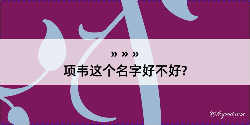 项韦这个名字好不好?