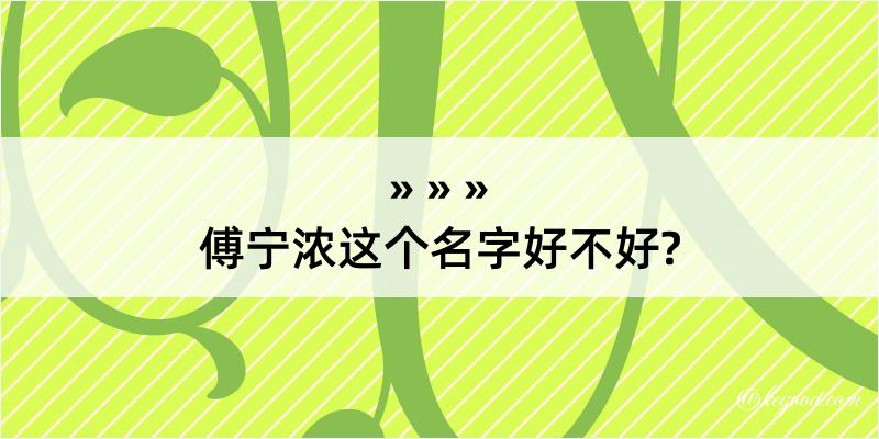 傅宁浓这个名字好不好?