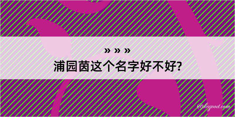 浦园茵这个名字好不好?