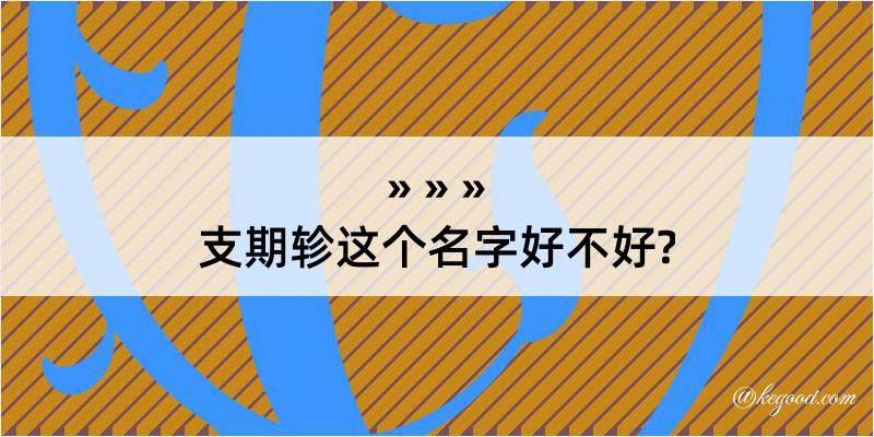 支期轸这个名字好不好?