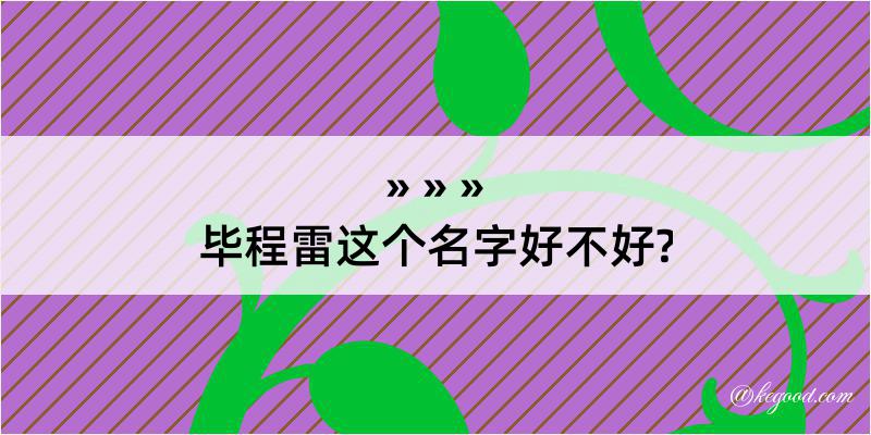 毕程雷这个名字好不好?